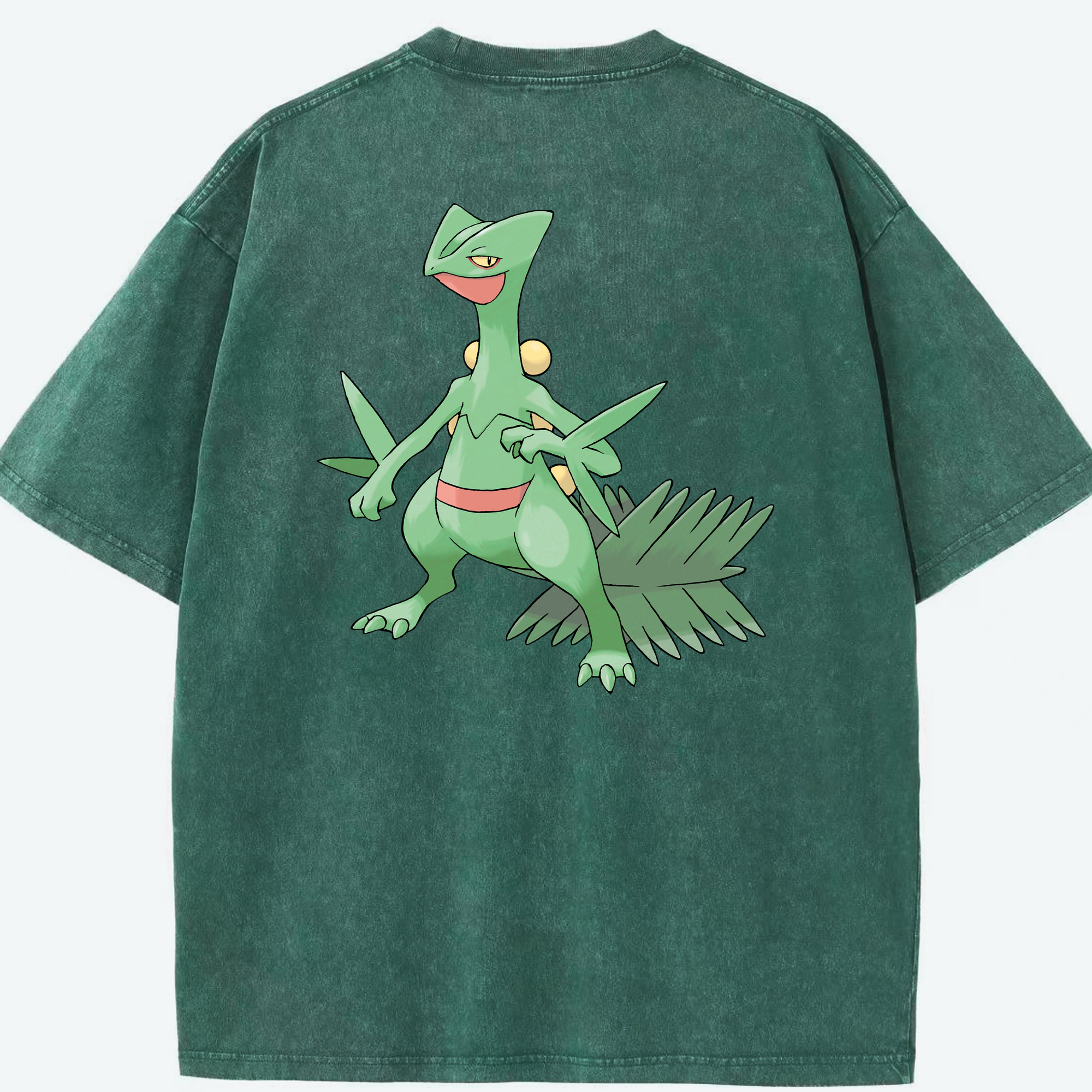 （画像用） ポケットモンスター Pokémon 綿100% ヴィンテージ風 半袖Tシャツ（背面プリント）